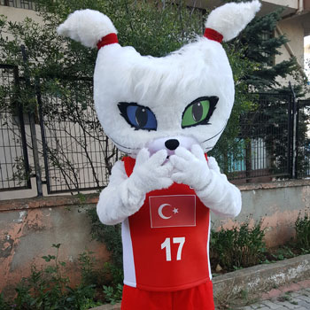 Fiba Kedi Maskotu
